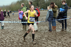 Girls under-13s 2018 British Inter Counties Cross Country Champs., Prestwold Hall, Loughborough. Photo: David T. Hewitson/Sports for All Pics